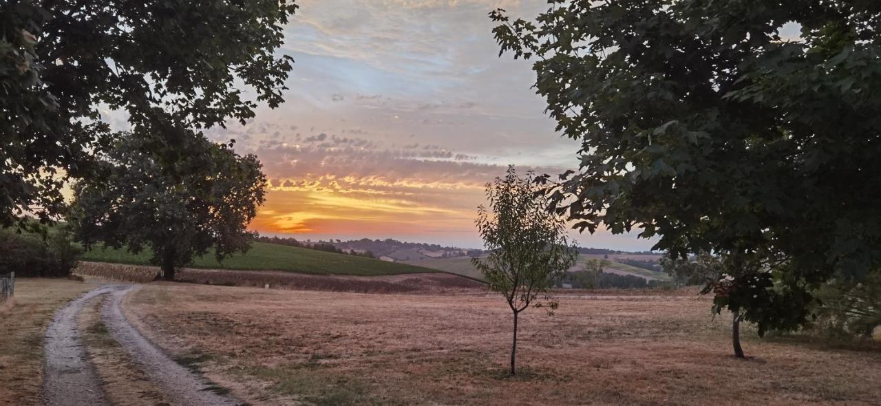 Les Hauts De Frühstückspension Grazac (Tarn)