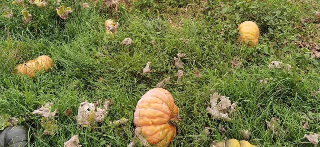 Frühstückspension Les Hauts De *