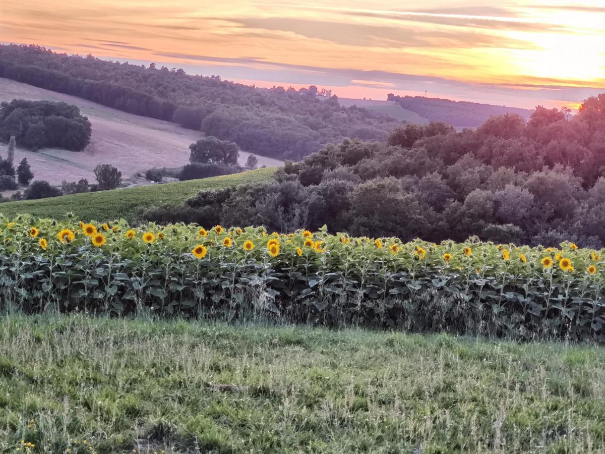 Les Hauts De Grazac, Et Tables D'hotes Bed & Breakfast